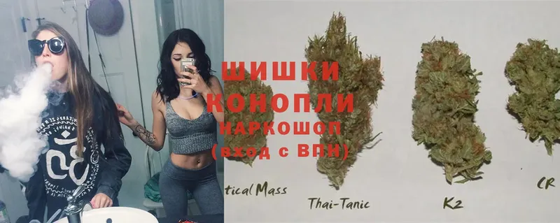 Конопля THC 21%  Бабаево 